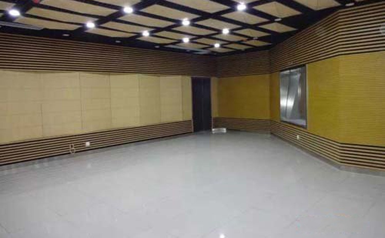四川資陽大會議室空間吸聲體聲學工程-2